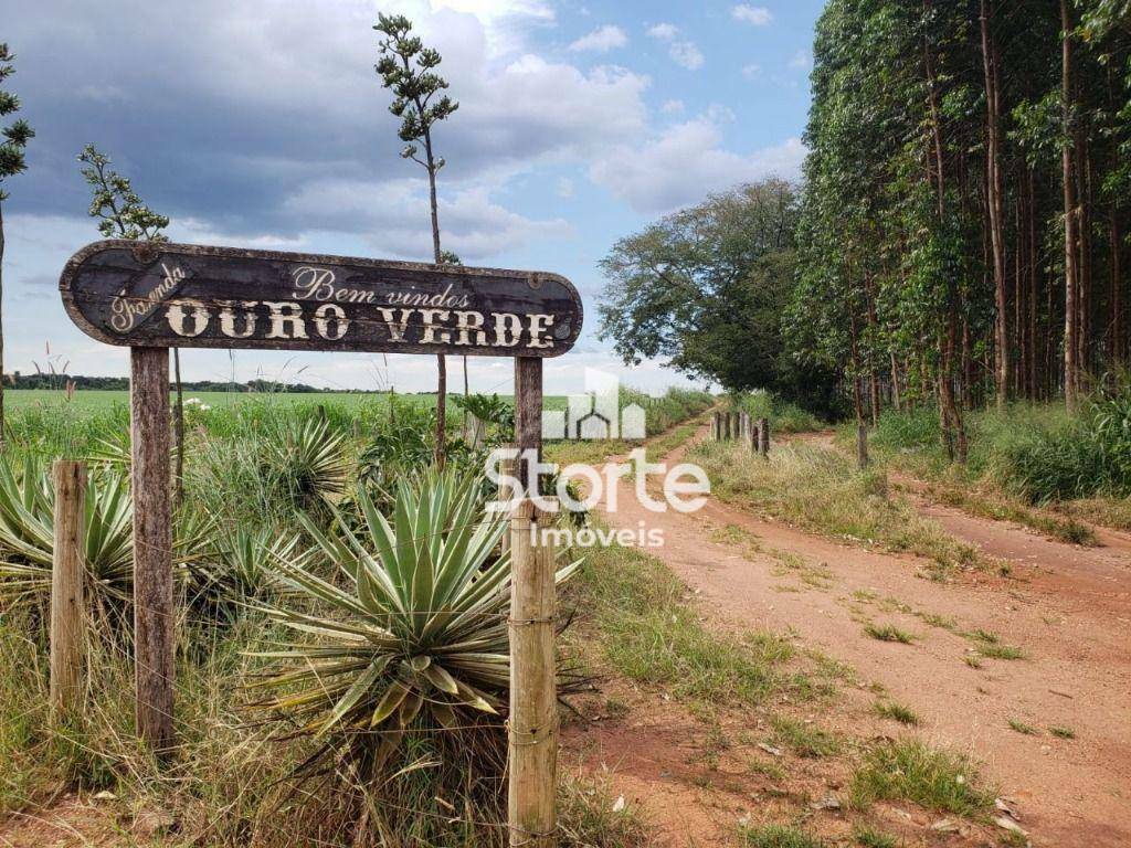 Sítio à venda com 11 quartos, 266200M2 - Foto 12