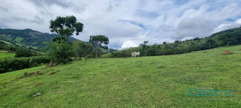 Fazenda à venda, 82m² - Foto 4