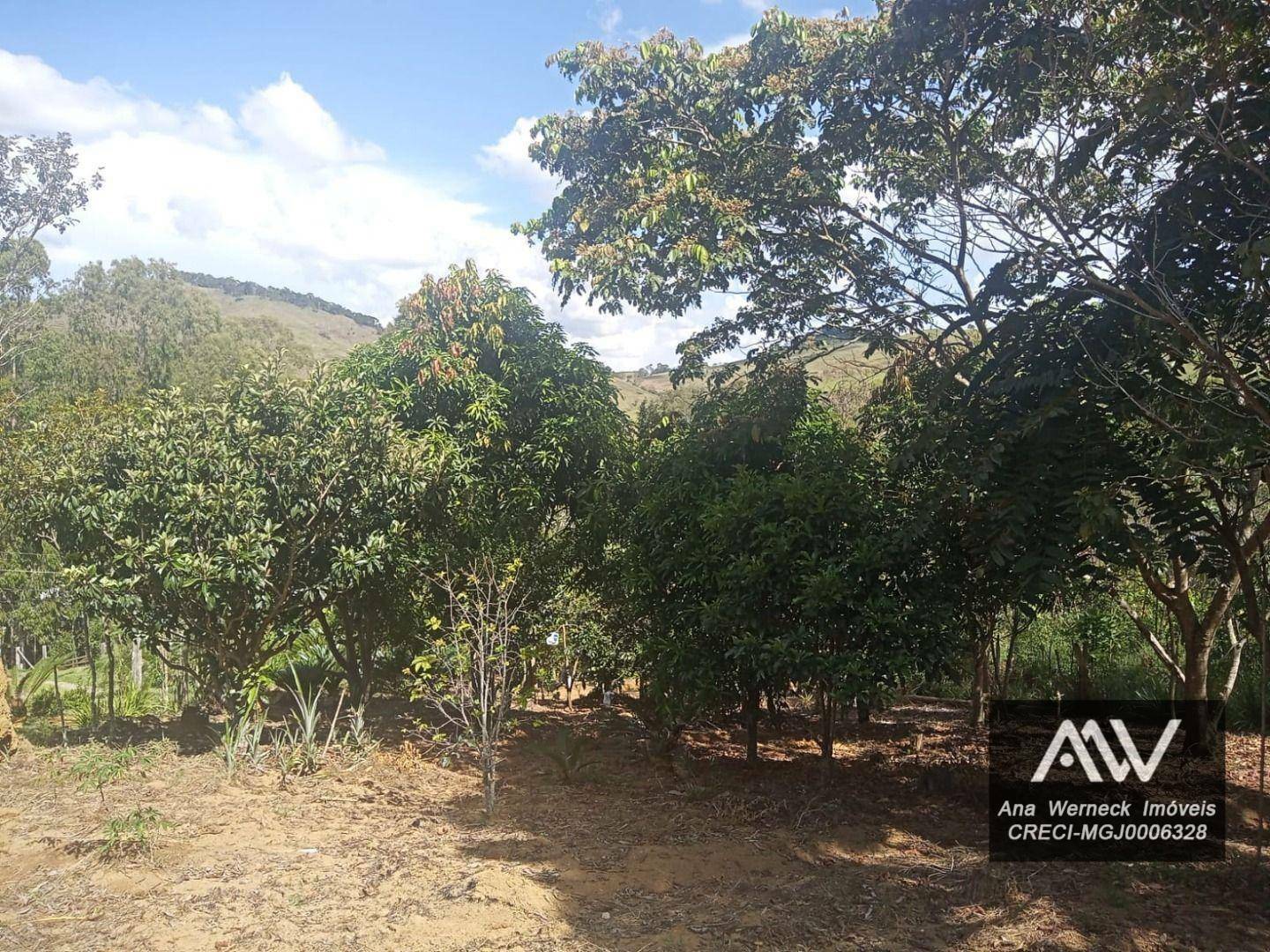 Sítio, 1 quarto, 2000 m² - Foto 30