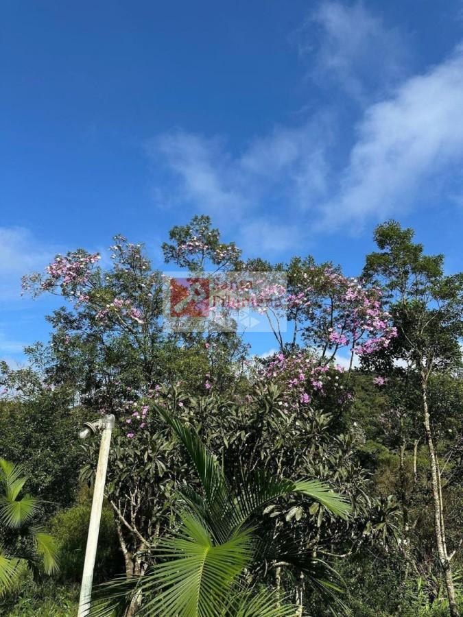 Chácara à venda com 4 quartos, 24000m² - Foto 9