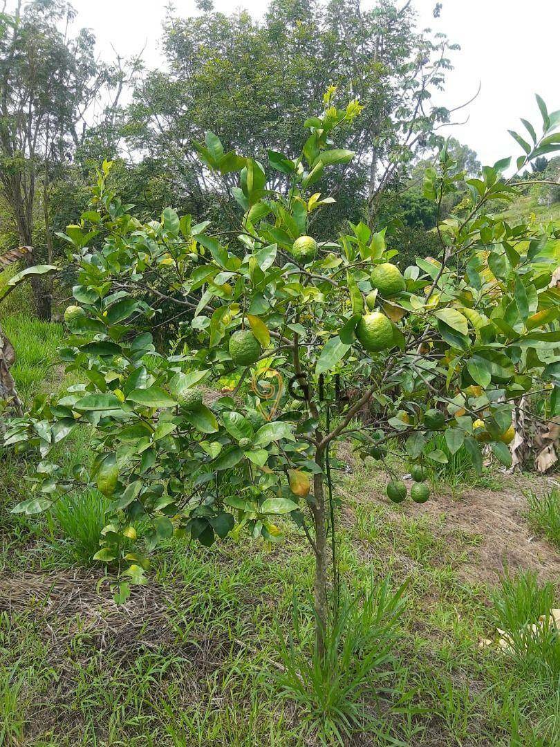 Chácara à venda com 2 quartos, 150m² - Foto 30