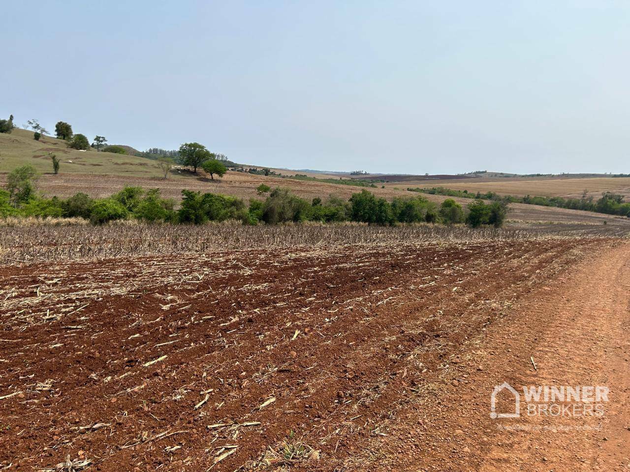 Sítio à venda com 2 quartos, 193600M2 - Foto 21