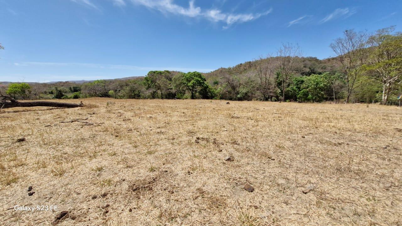 Fazenda à venda com 4 quartos, 1180000m² - Foto 8