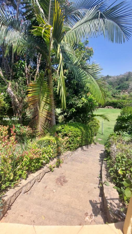 Fazenda à venda com 4 quartos, 700m² - Foto 30