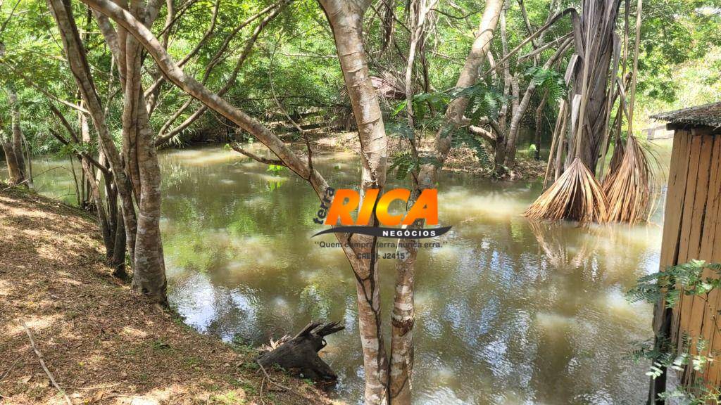 Fazenda, 300 hectares - Foto 14