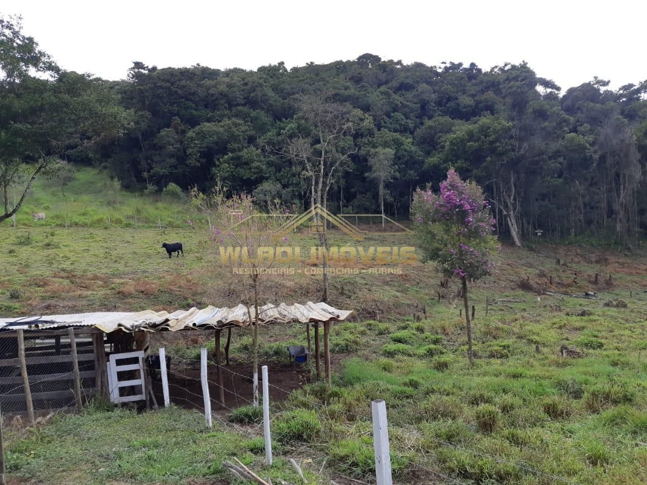 Fazenda à venda, 48400m² - Foto 26