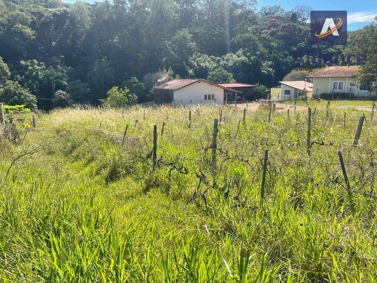 Terreno à venda, 1632M2 - Foto 9