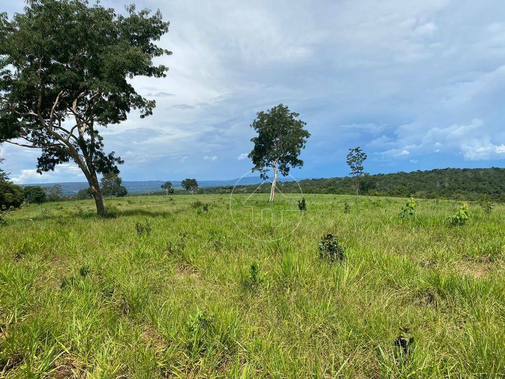 Fazenda à venda, 4840000M2 - Foto 10