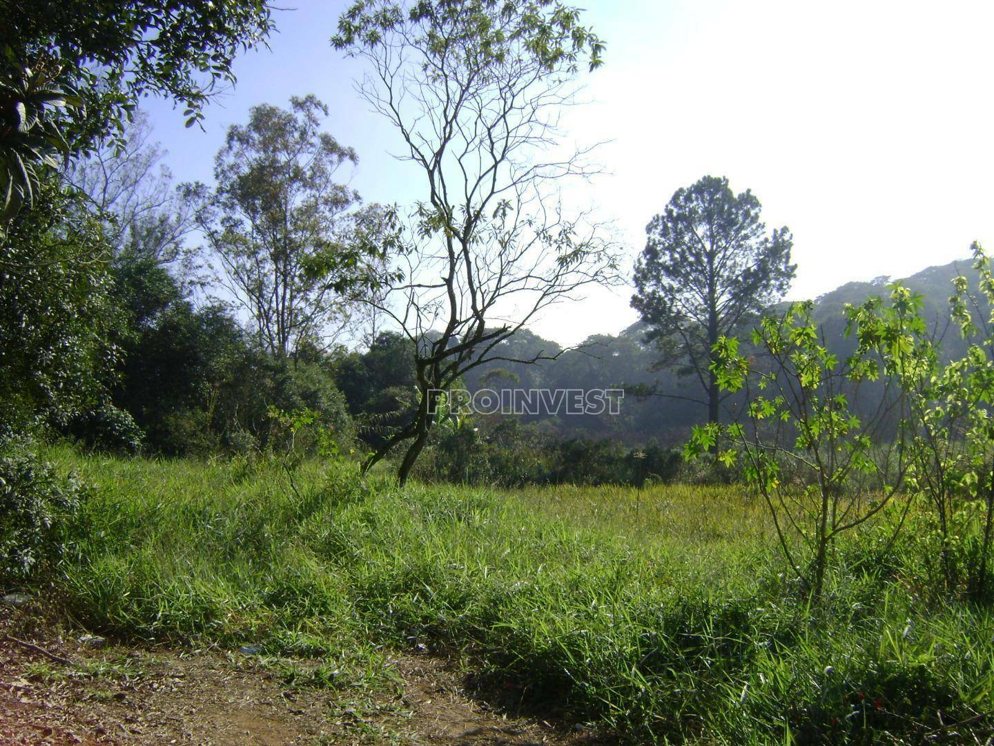 Loteamento e Condomínio à venda, 4500M2 - Foto 1