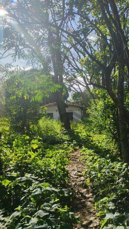 Terreno, 2000 m² - Foto 8