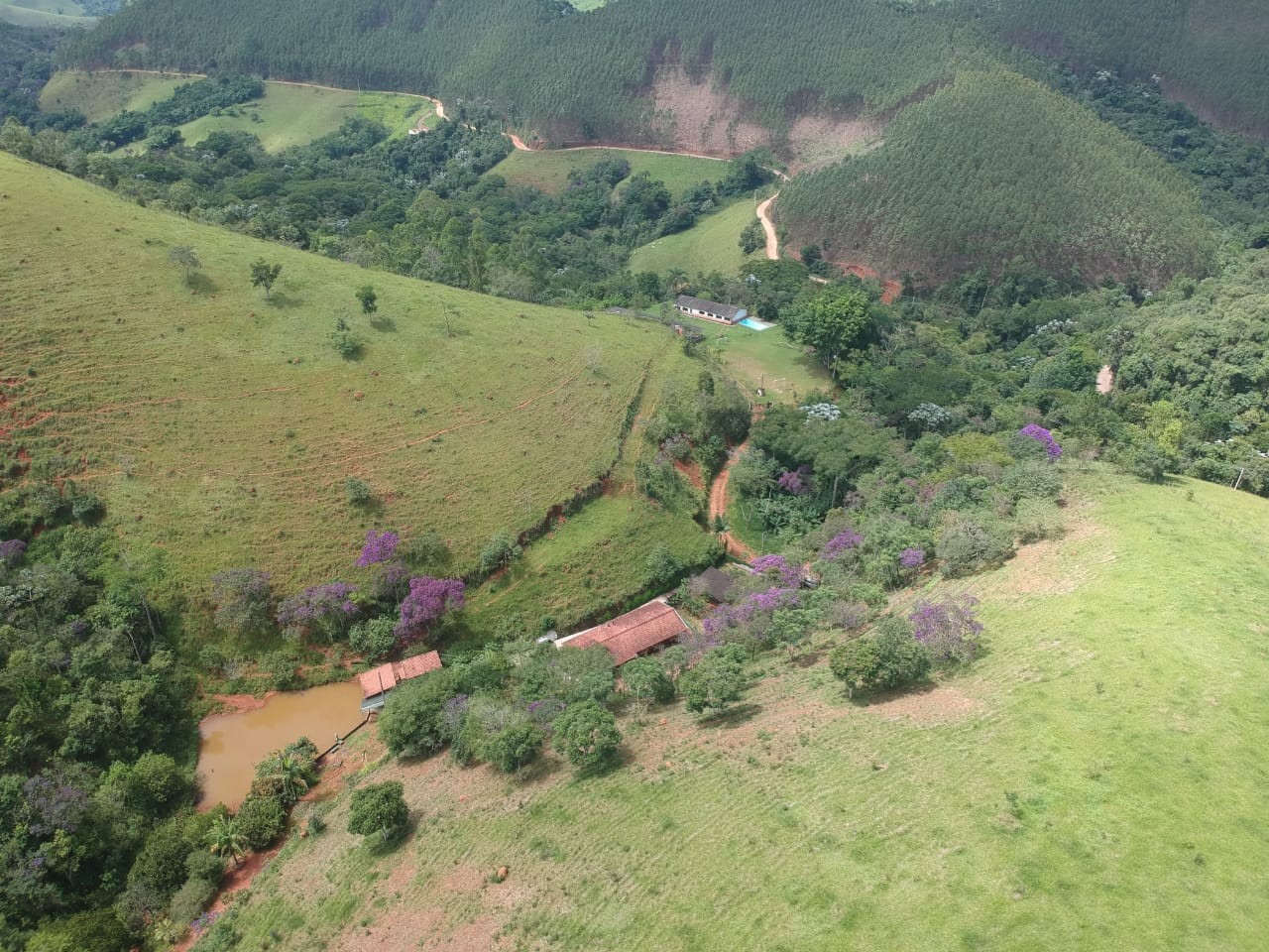 Terreno, 7 hectares - Foto 11