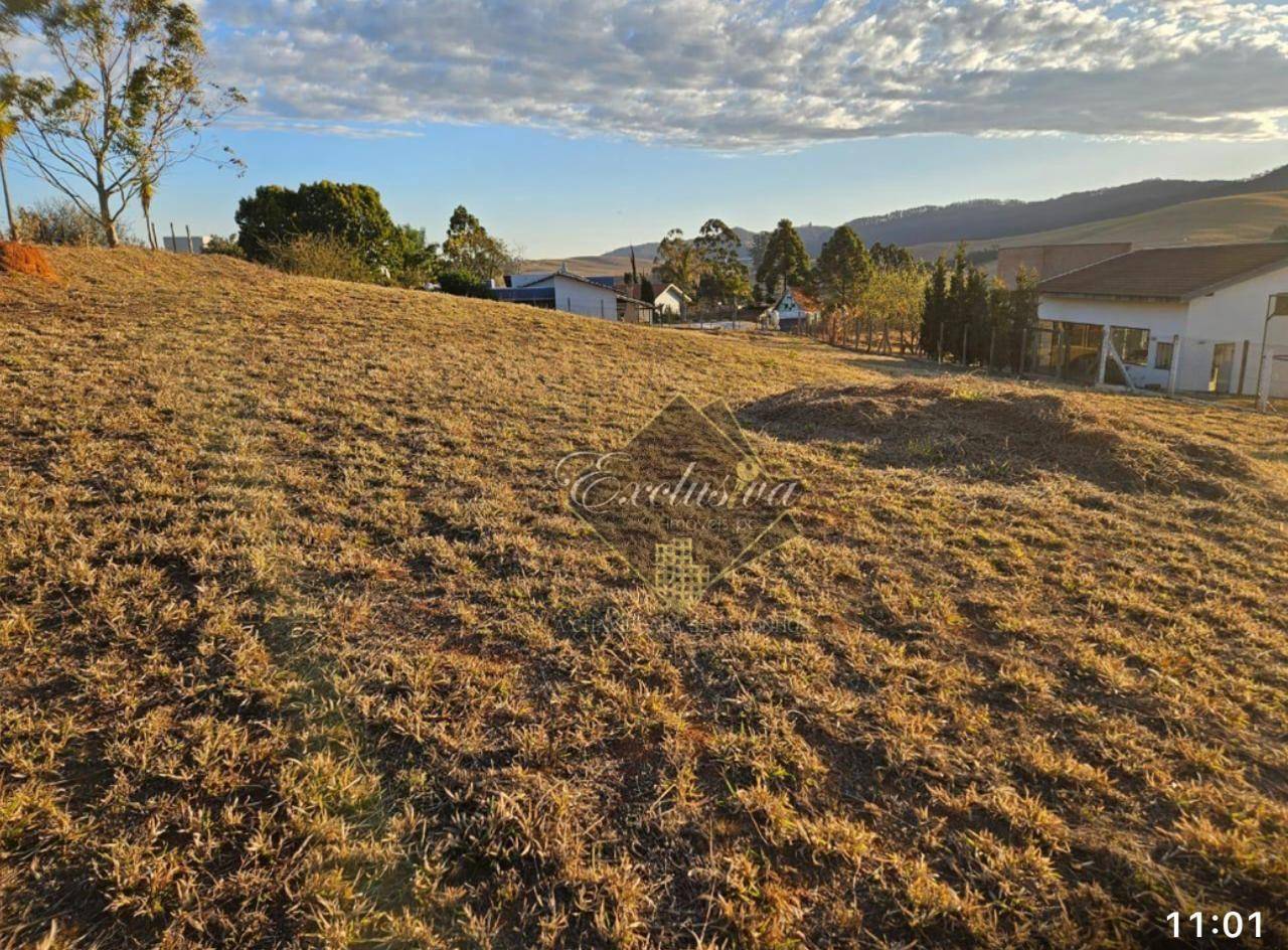 Terreno, 2000 m² - Foto 5