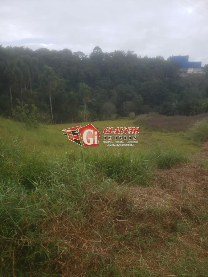 Terreno, 1580 m² - Foto 4