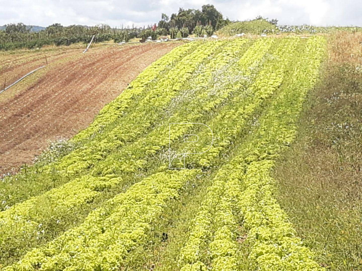 Terreno à venda, 39000M2 - Foto 21