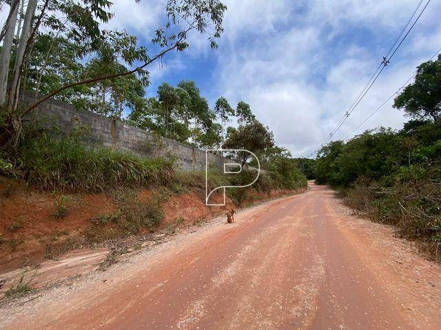 Terreno, 27 hectares - Foto 13