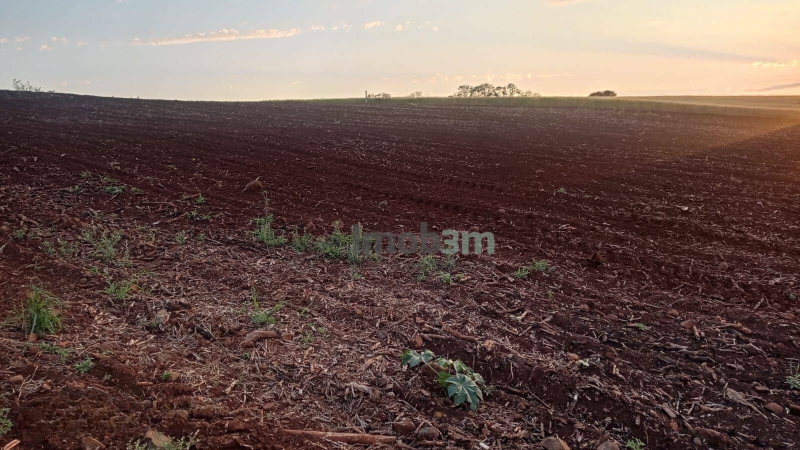 Terreno à venda, 4000M2 - Foto 3