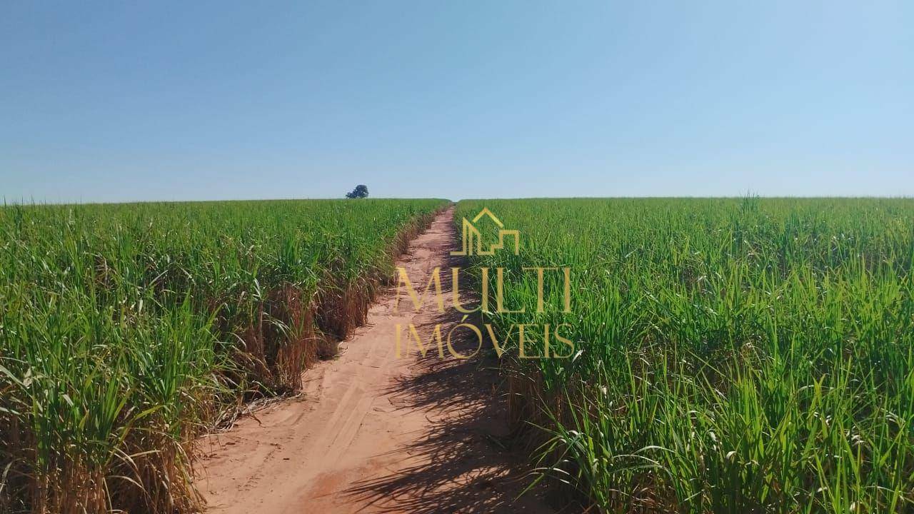 Fazenda-Sítio-Chácara, 286 hectares - Foto 1