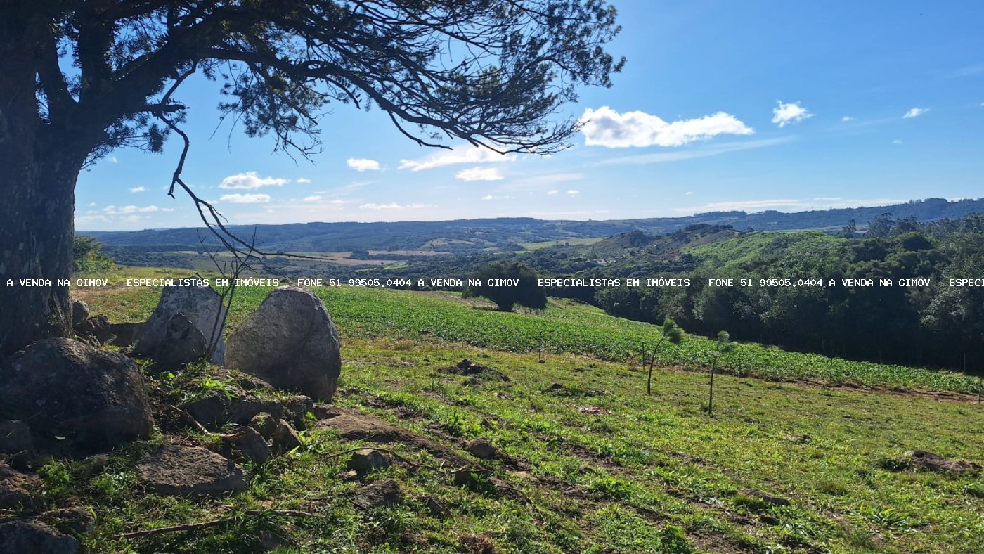 Sítio à venda com 2 quartos, 60000m² - Foto 16