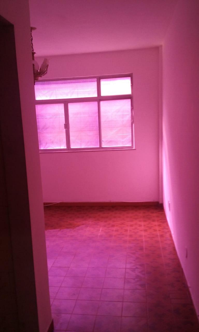 Apartamento à venda com 2 quartos - Foto 5