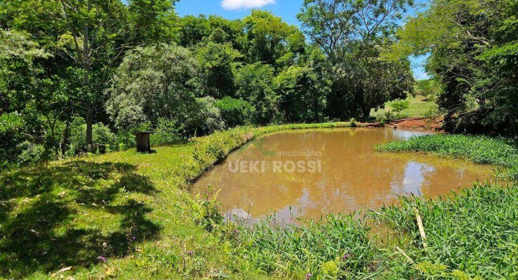 Sítio, 53 hectares - Foto 3