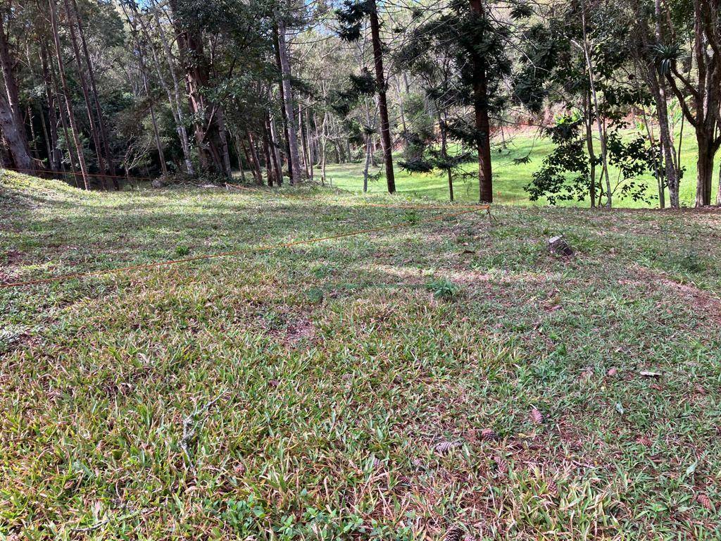 Loteamento e Condomínio à venda, 100M2 - Foto 5