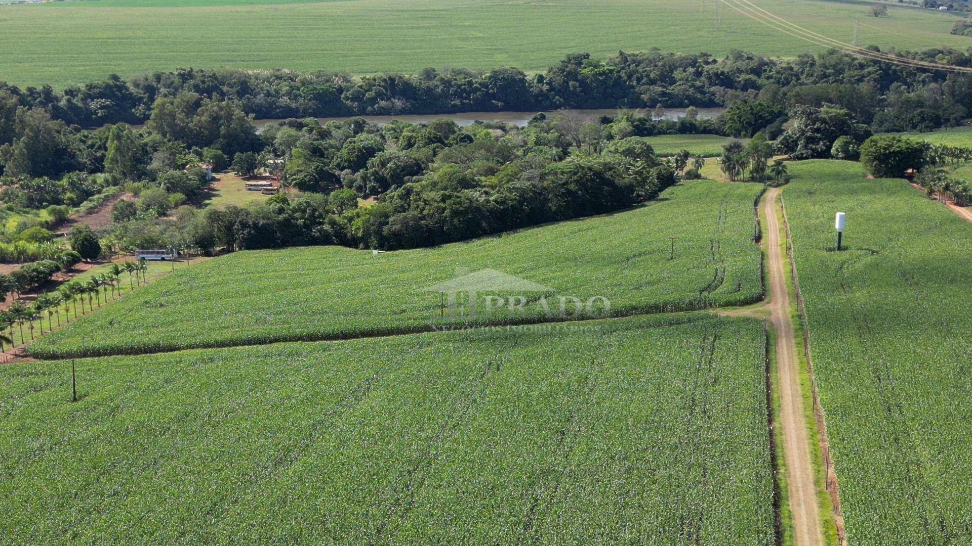 Sítio, 7 quartos, 36 hectares - Foto 23