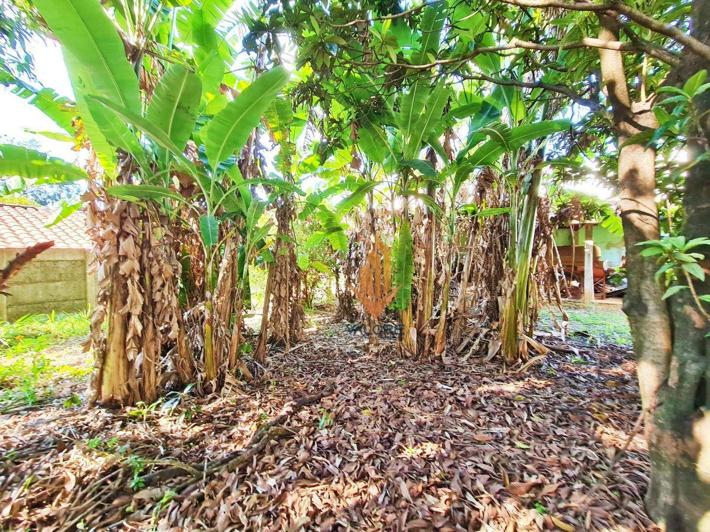 Terreno, 1287 m² - Foto 13