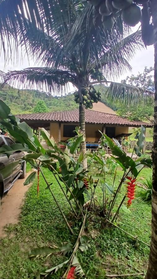 Fazenda à venda com 4 quartos, 2500m² - Foto 26