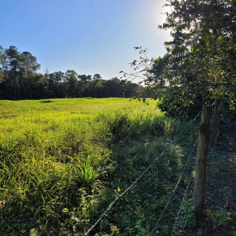 Terreno à venda, 58357m² - Foto 7