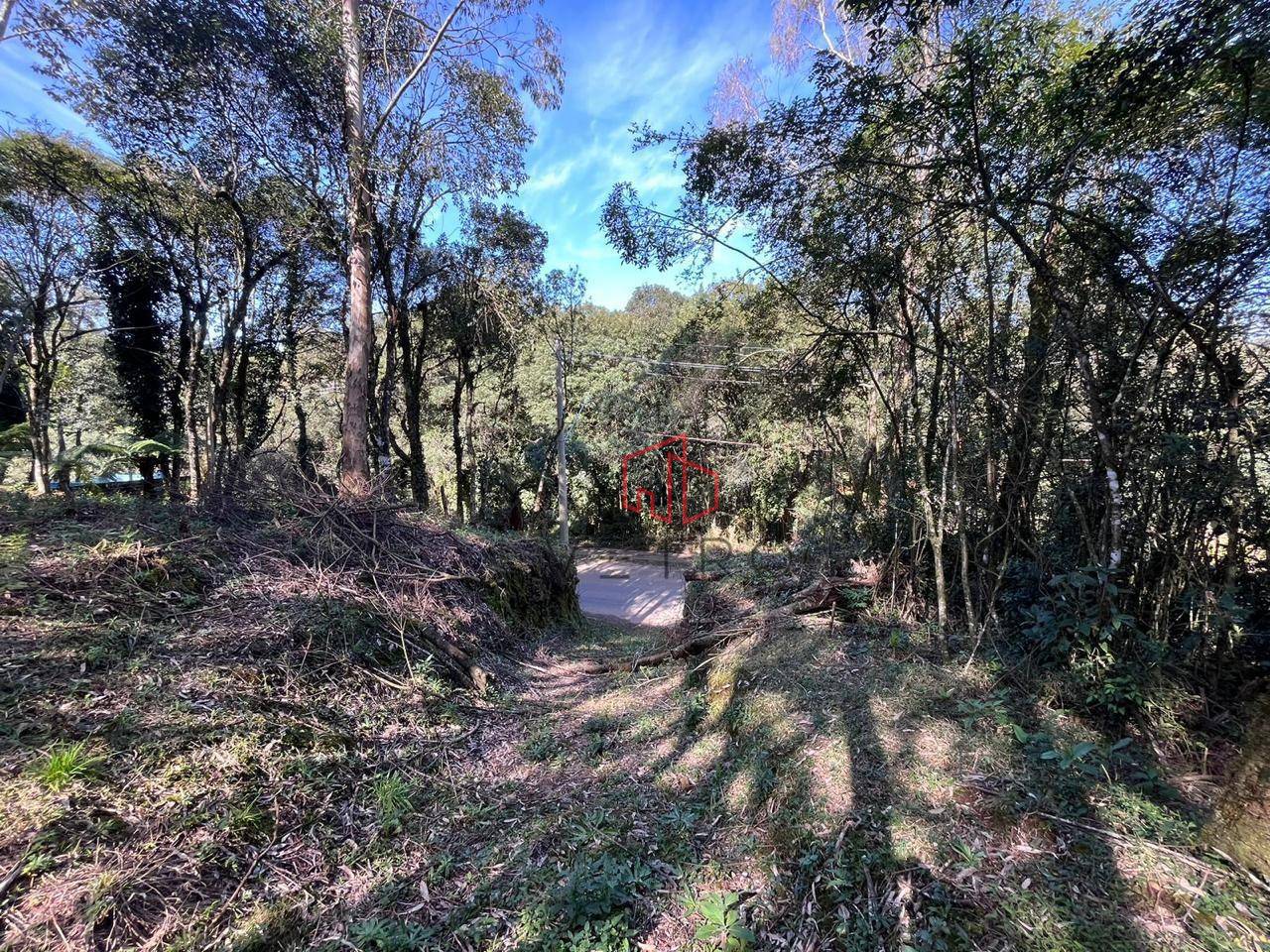 Terreno, 613 m² - Foto 4