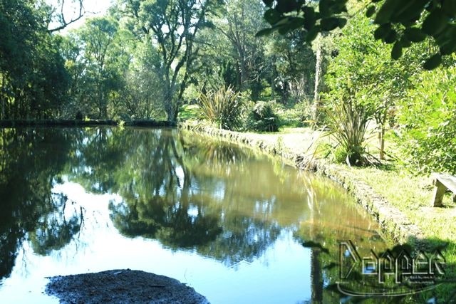 Terreno à venda - Foto 11