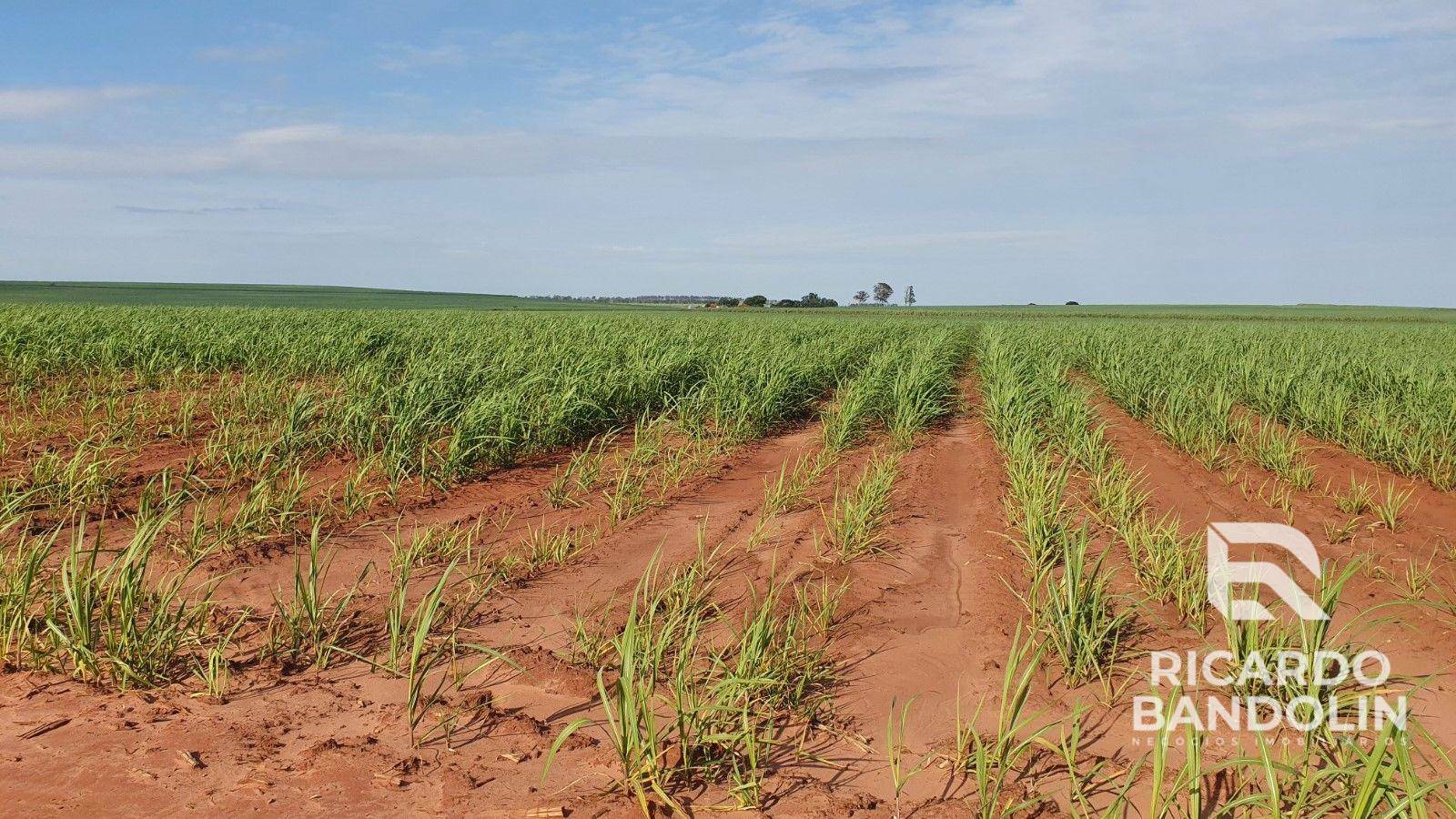 Fazenda à venda, 1m² - Foto 2