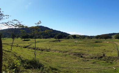 Fazenda à venda com 2 quartos, 270000m² - Foto 5