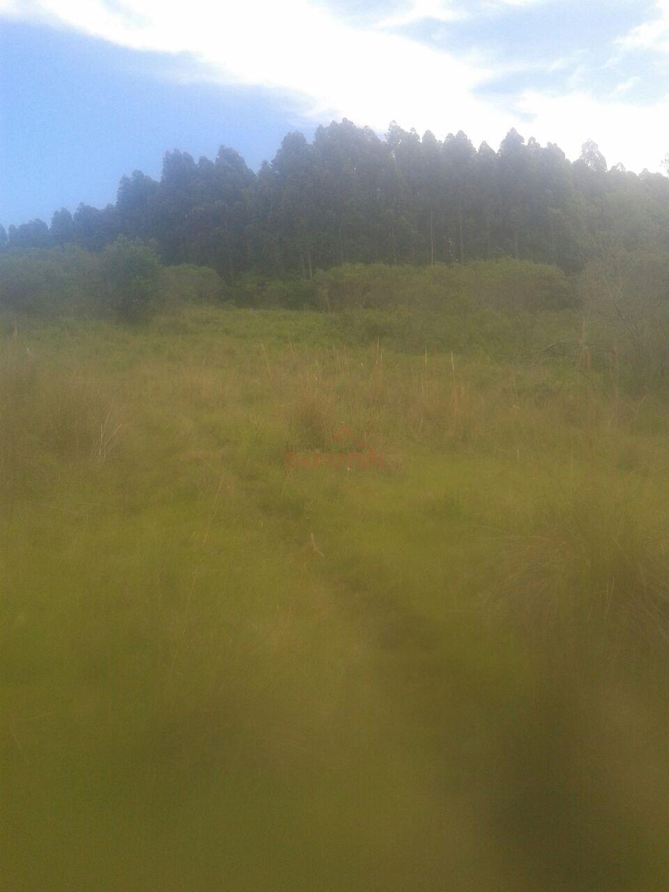 Fazenda-Sítio-Chácara - Foto 13