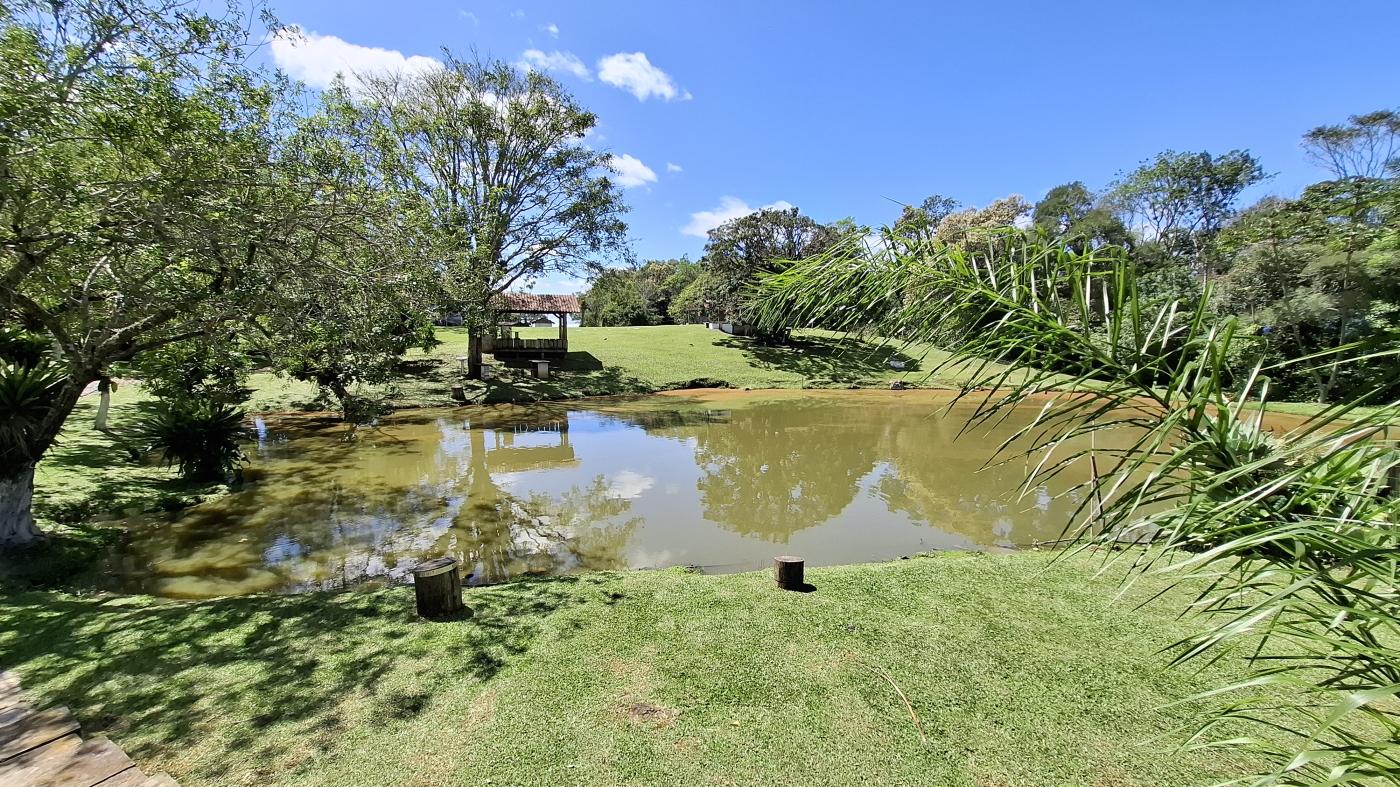 Fazenda à venda com 4 quartos, 1040000m² - Foto 13