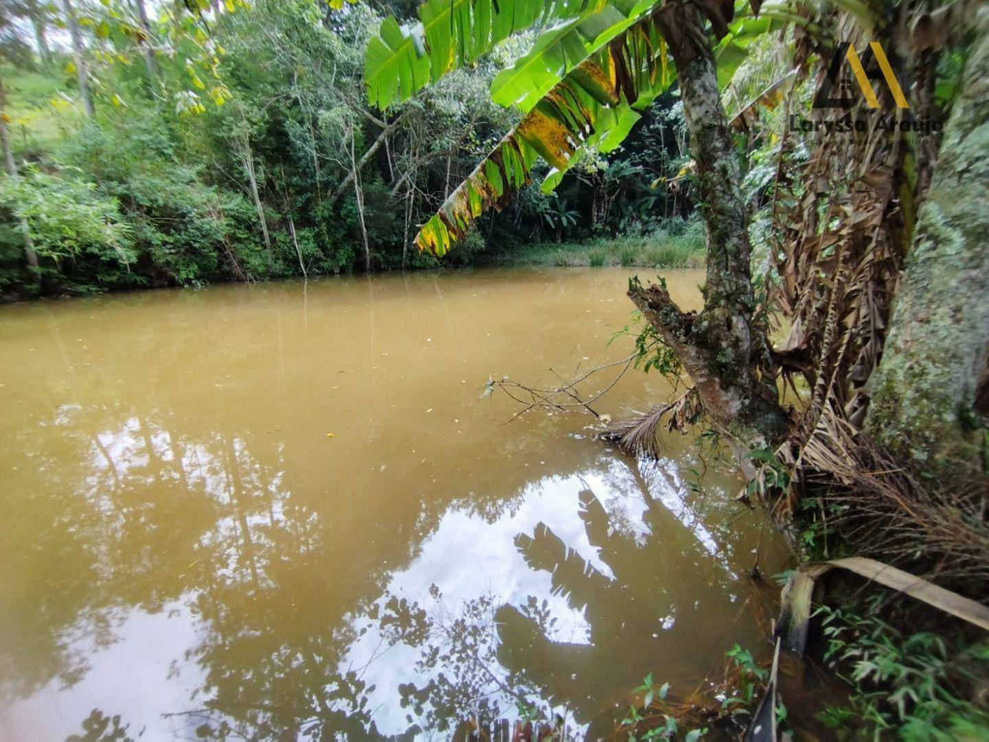 Chácara à venda com 6 quartos, 11889M2 - Foto 2