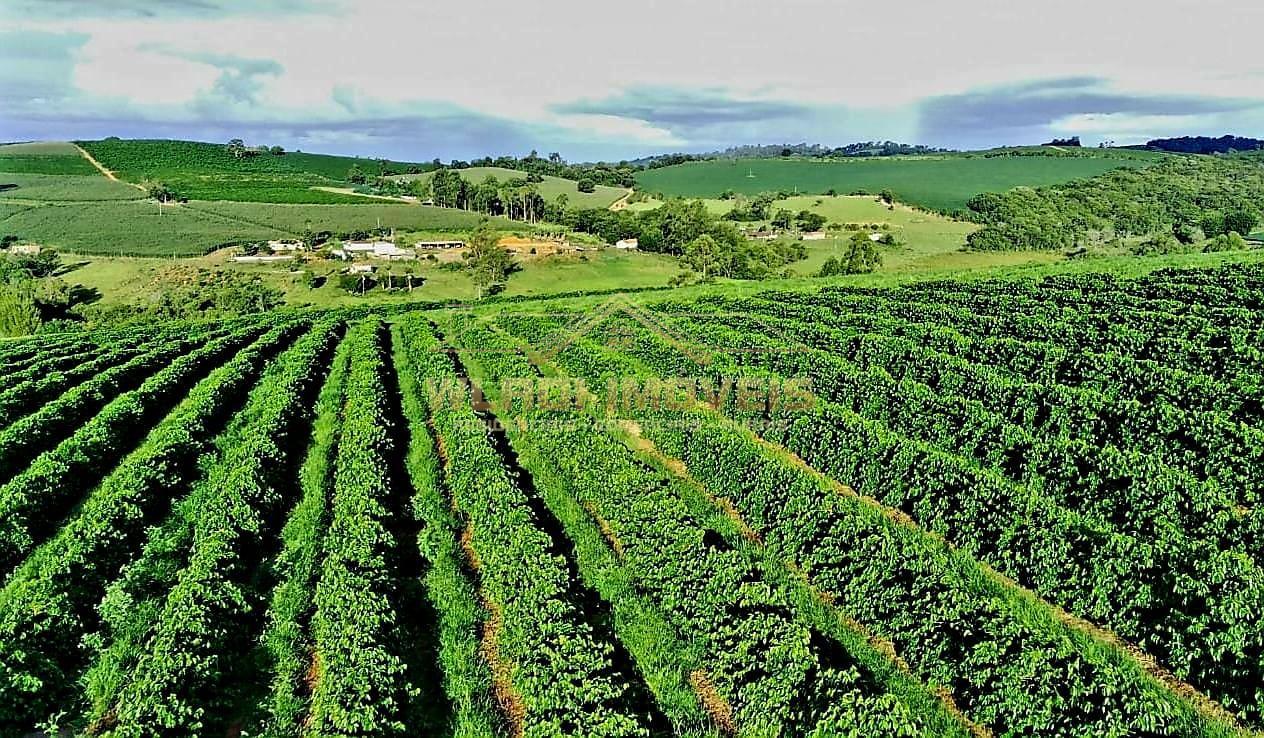 Fazenda à venda, 40m² - Foto 21