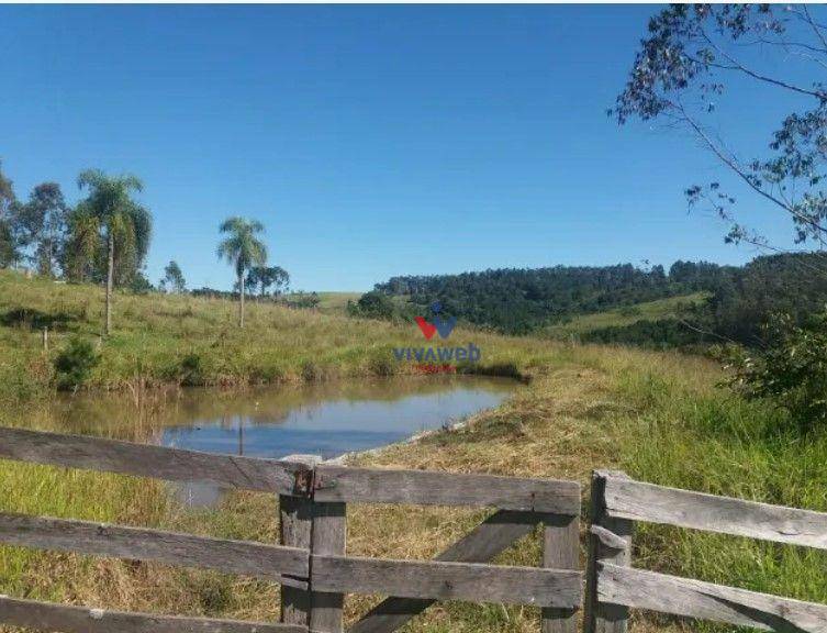 Fazenda à venda com 3 quartos, 1116000M2 - Foto 15