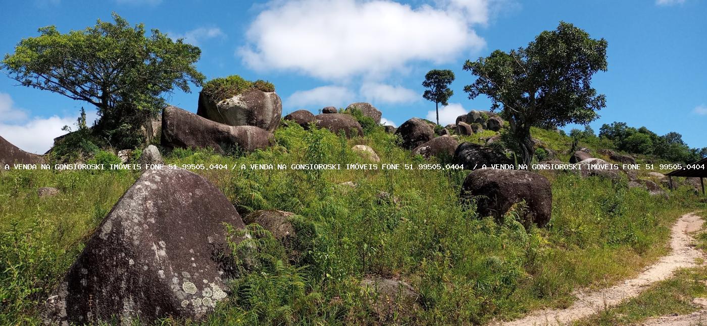 Chácara à venda com 2 quartos, 600000m² - Foto 48