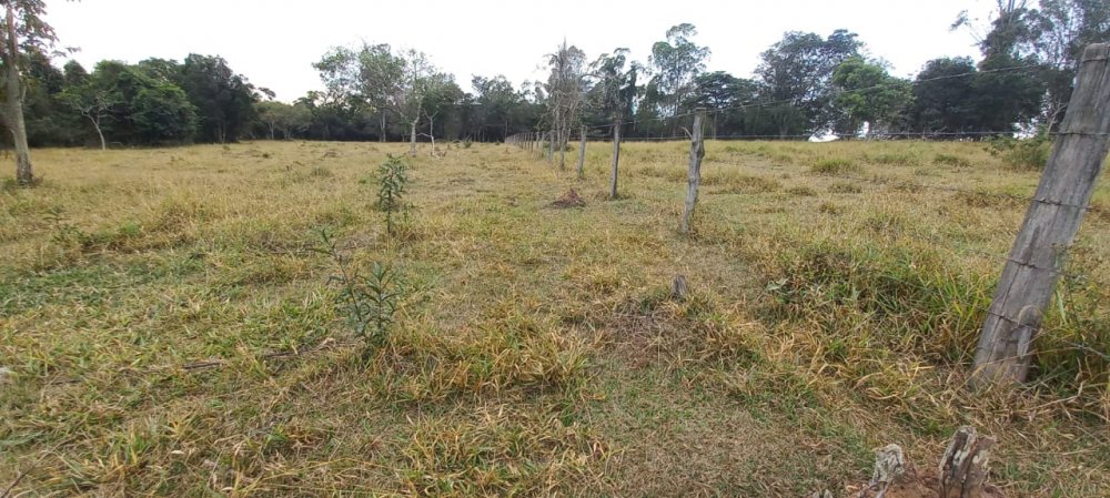 Fazenda à venda, 68m² - Foto 4
