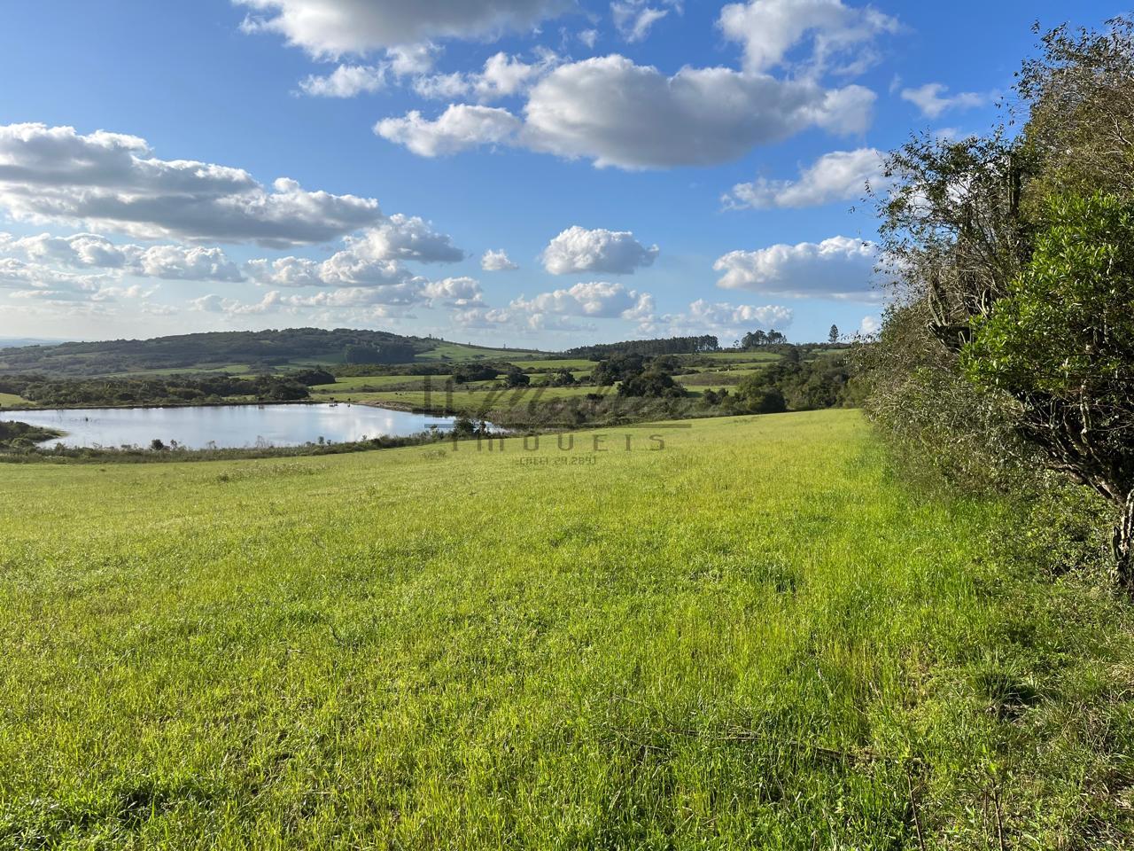 Fazenda à venda, 900m² - Foto 23