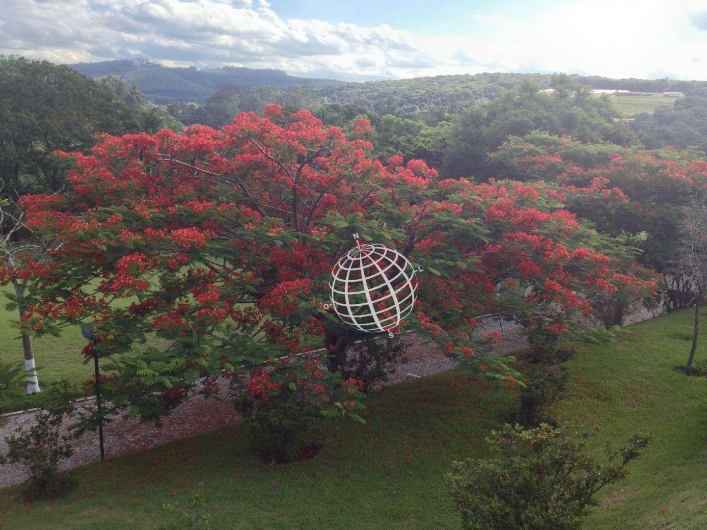 Sítio, 4 quartos, 4 hectares - Foto 2