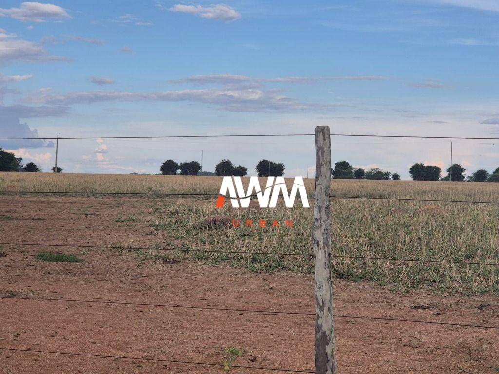 Fazenda, 944 hectares - Foto 4