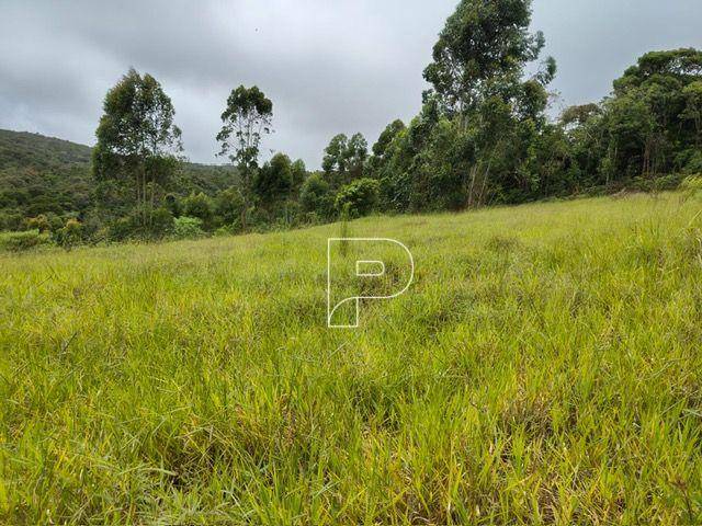 Terreno, 27 hectares - Foto 6