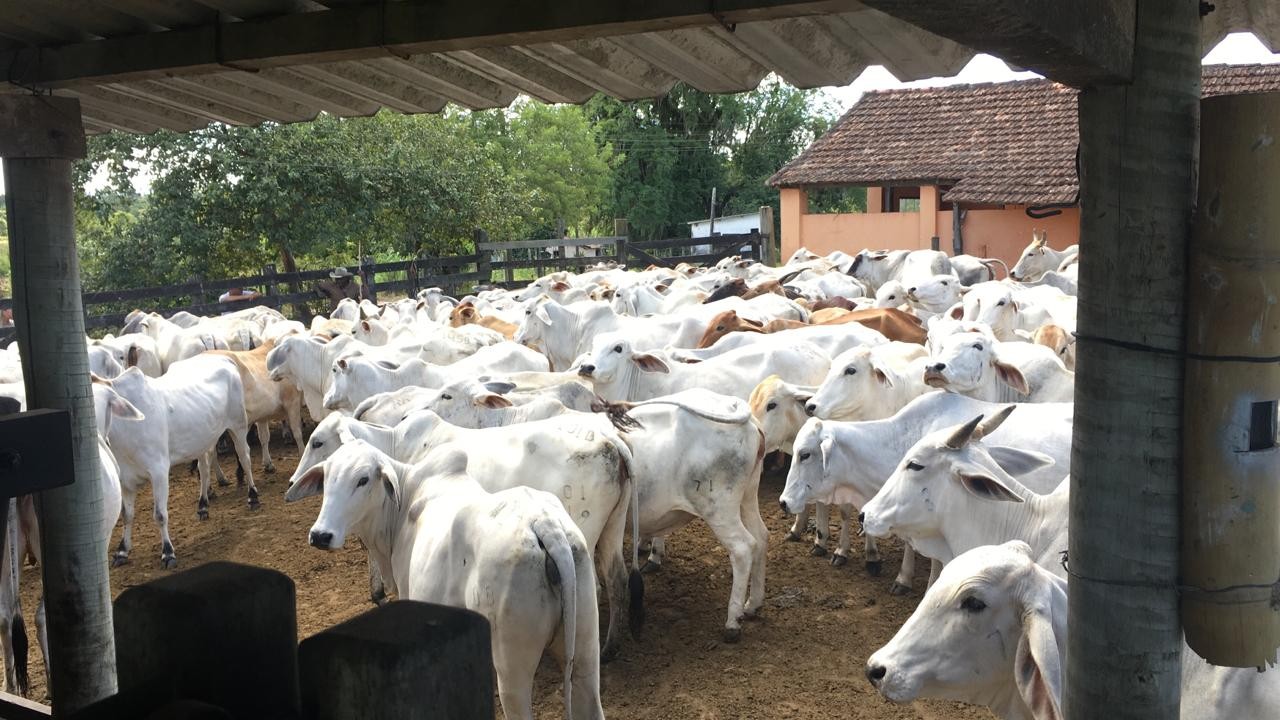 Fazenda à venda, 48400m² - Foto 3