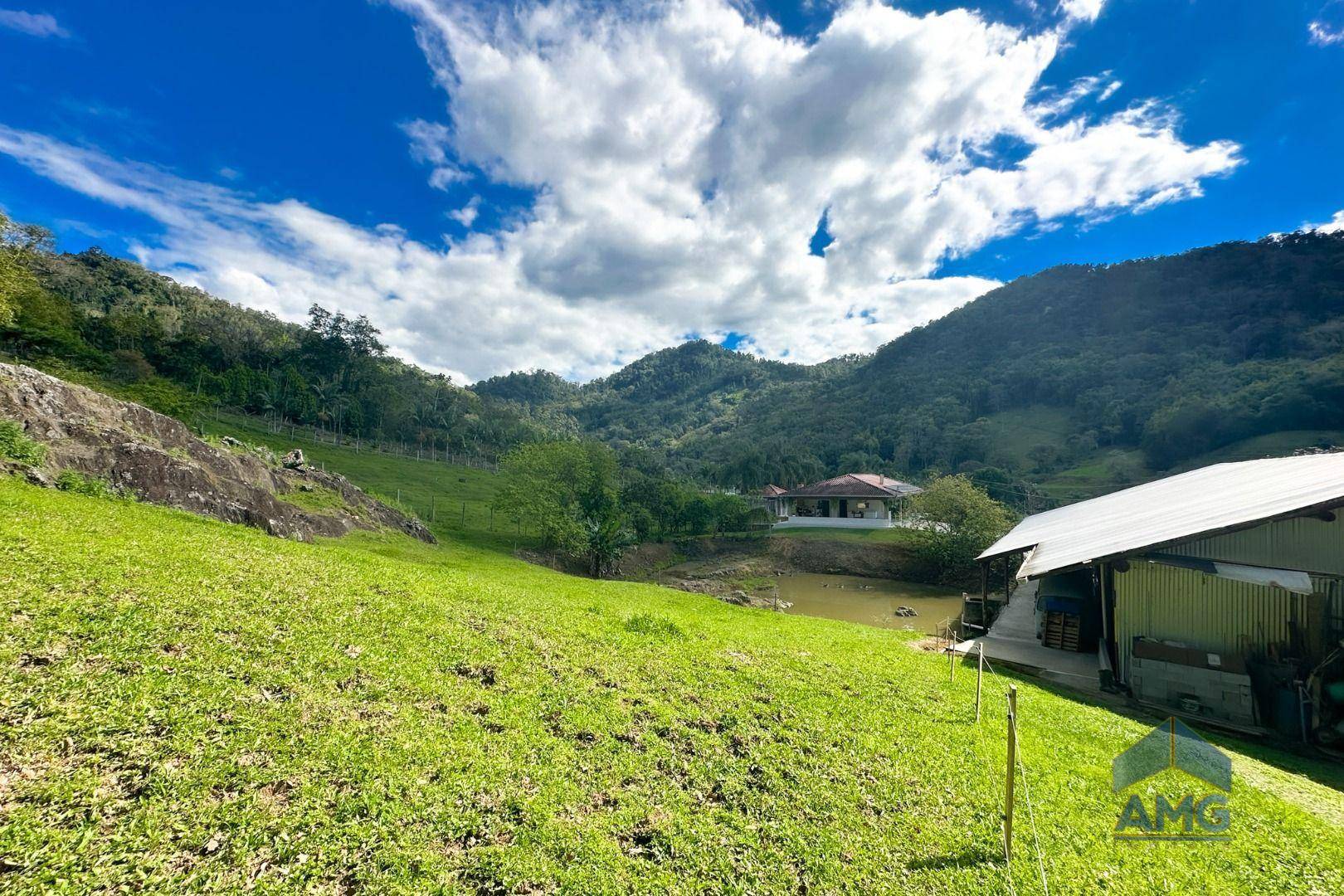 Sítio, 4 quartos, 2 hectares - Foto 25