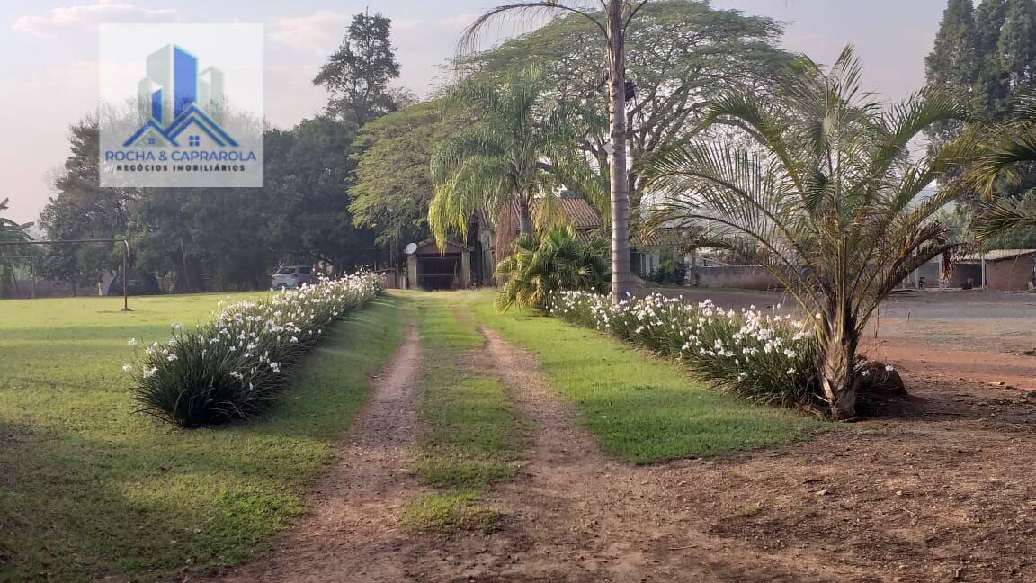 Fazenda à venda com 3 quartos, 6000m² - Foto 5