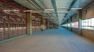 Depósito-Galpão, 1488 m² - Foto 1