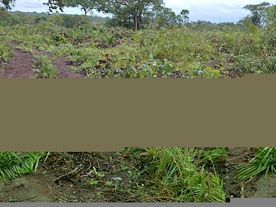 Fazenda à venda, 1m² - Foto 20