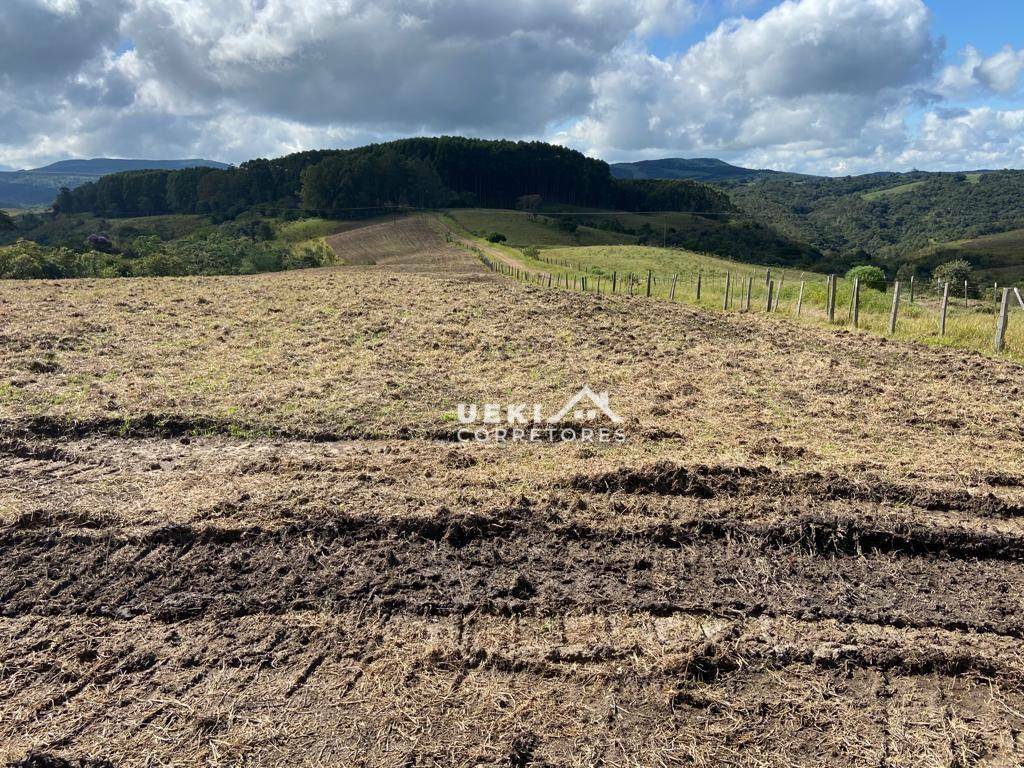 Fazenda-Sítio-Chácara, 327 hectares - Foto 2